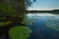 Jezioro Pestkowie